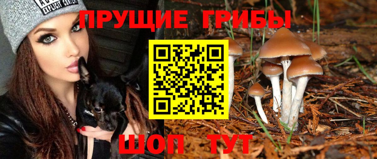 Псилоцибиновые грибы ЛСД  Вход с VPN  Димитровград 