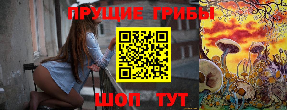 Галлюциногенные грибы GOLDEN TEACHER Димитровград
